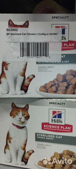 Влажный корм для кошек Хиллс