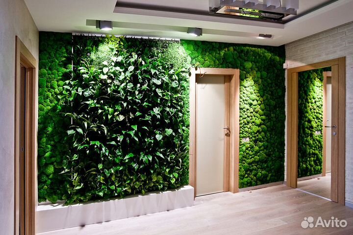 Живые растения: стены, наполняющие пространство жи