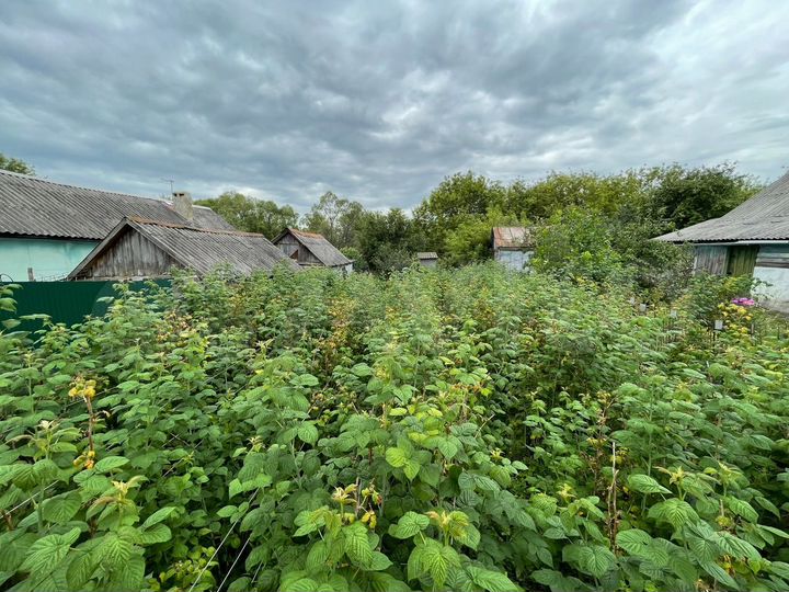 Дом 99 м² на участке 35 сот.