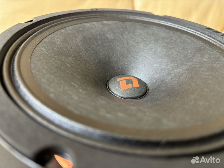 Мощная эстрадная акустика DL Audio Raven 165 v.2