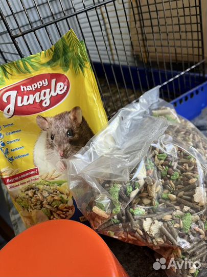 Корм для крыс