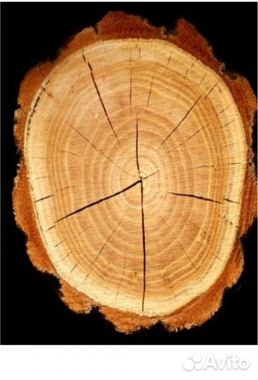 Yodeyma Dela Вода парфюмерная 15 мл