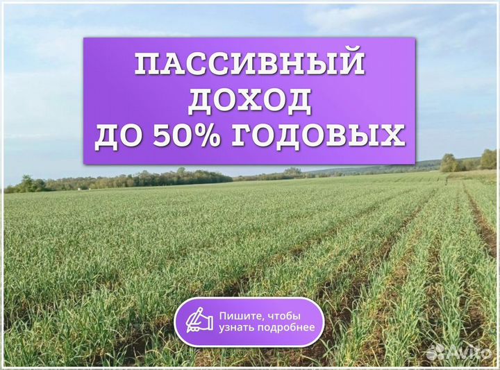 Инвестиции в прибыльный бизнес