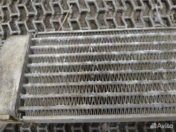 Радиатор масляный BMW X5 E53, 2005