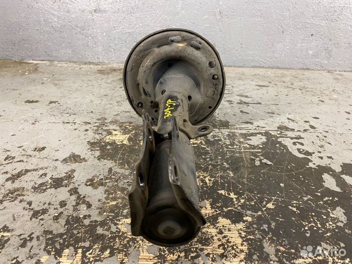 Амортизатор задний левый Toyota Camry ACV50