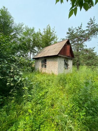 Участок 16 сот. (СНТ, ДНП)