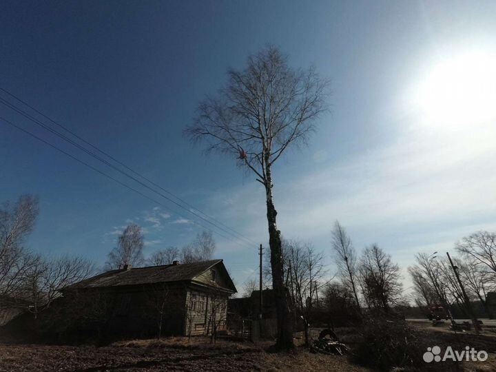 Удаление деревьев