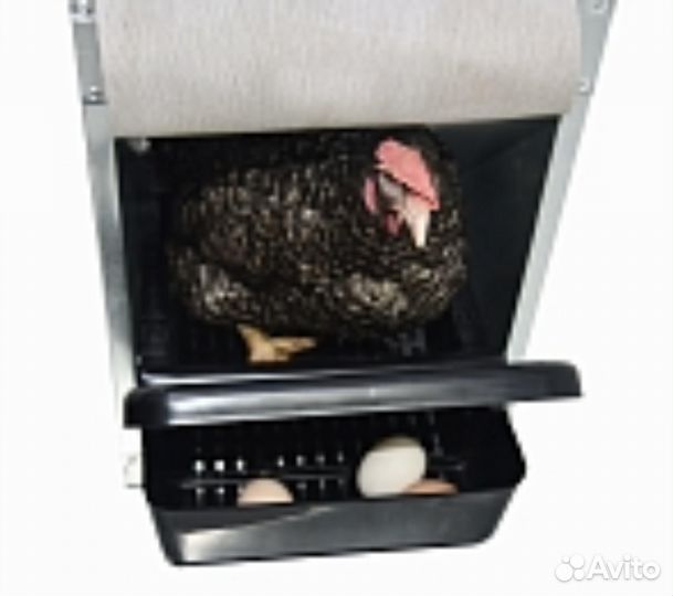 Гнезда для кур компакт с яцесборниками