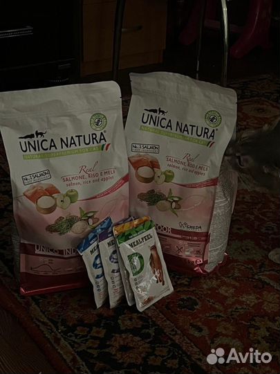 Корм для кошек unica и mealfeel