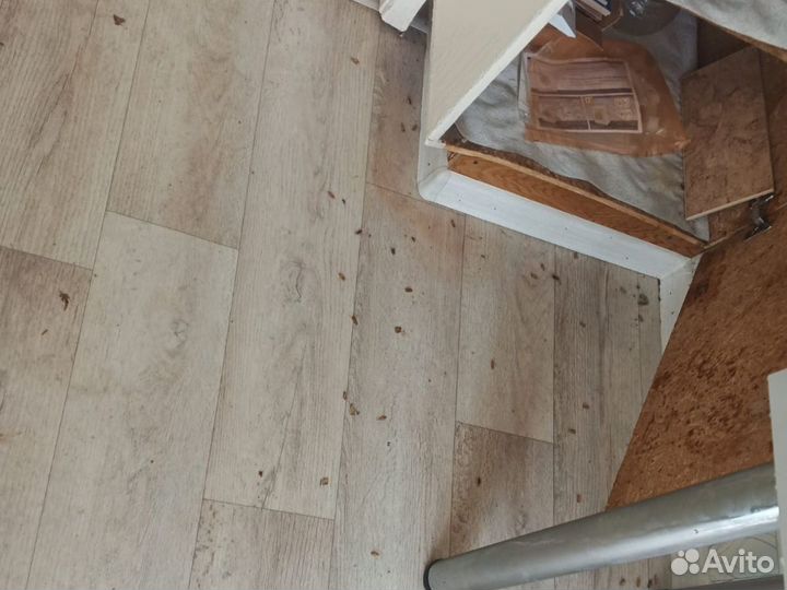 Уничтожение комаров клещей ос тараканов клопов Дез