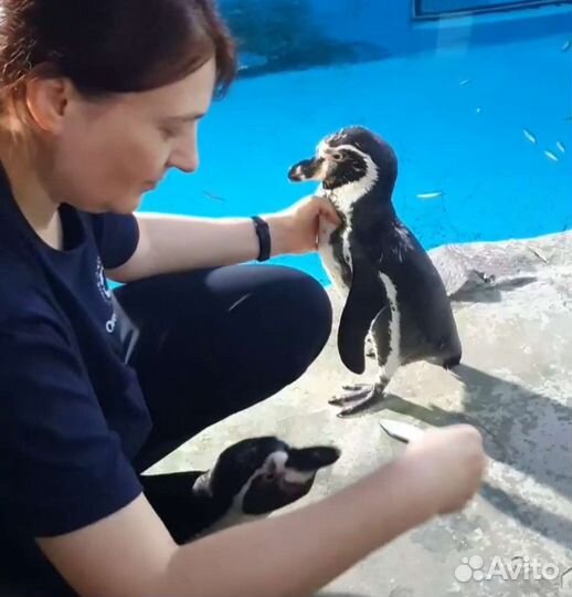 Билеты в Океанариум Рио