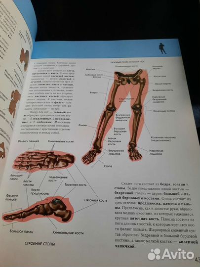 Книги, энциклопедии