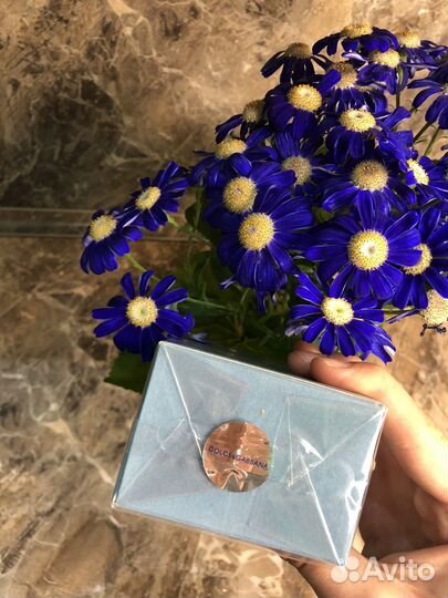 Мужсие духи dolce gabbana light blue forever