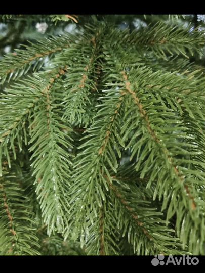 Ель искуственная литая бу