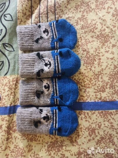 Зимние ботинки и носки для собак