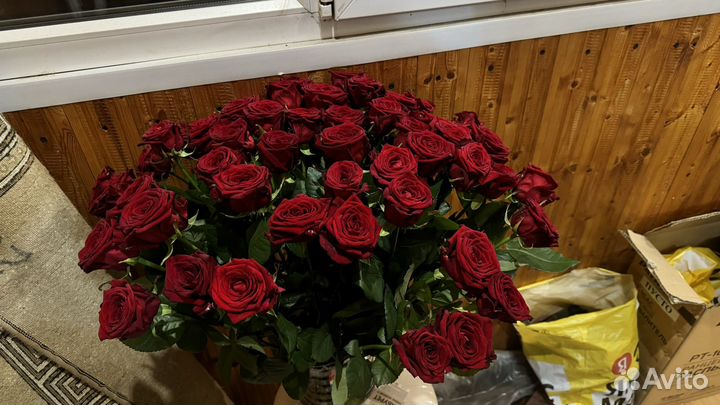 Букет 51 роза
