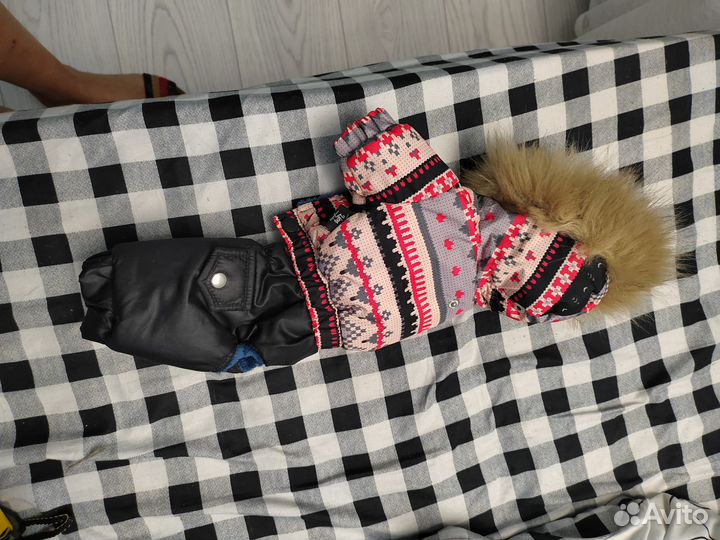 Комбинезон для маленькой собачки зима