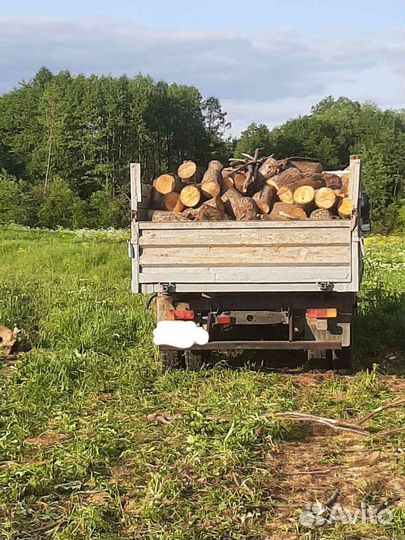 Продам дрова Ольха