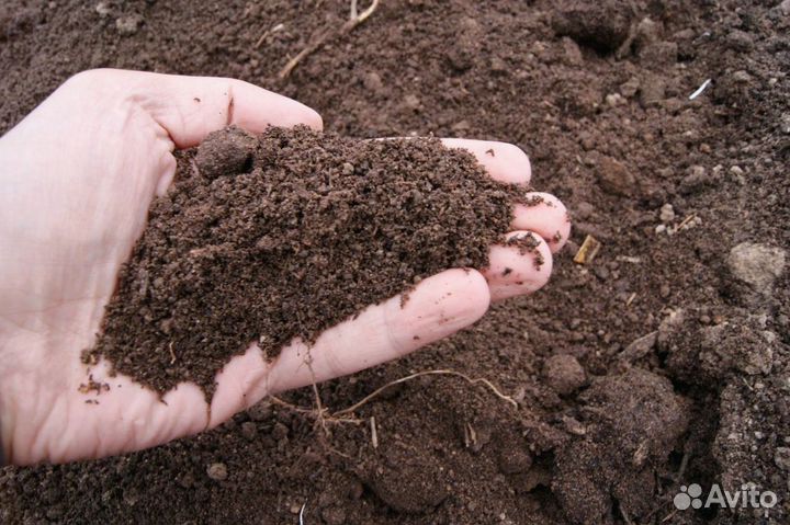 Чернозем с доставкой