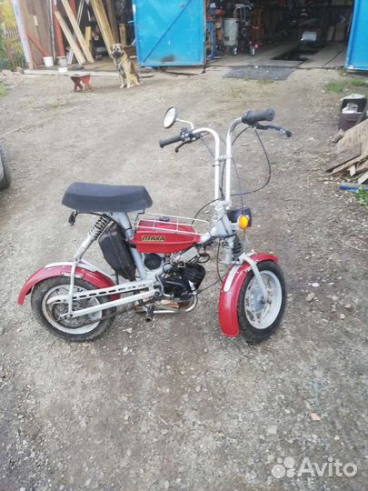 Продам зид-Птаха