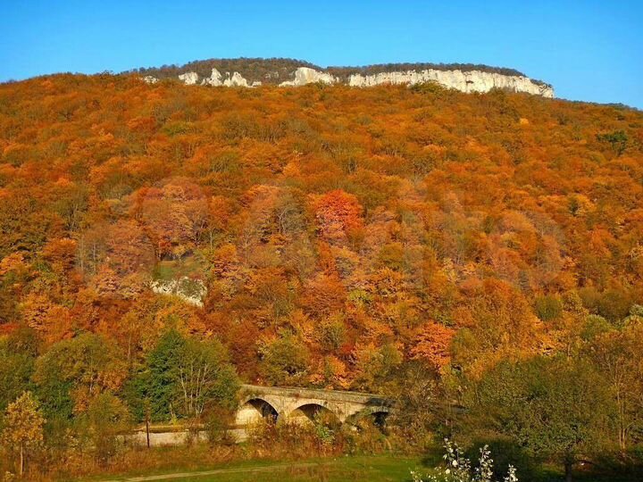 Коттедж 100 м² на участке 23 сот.