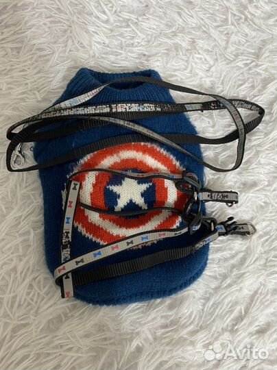 Одежда для маленьких собак