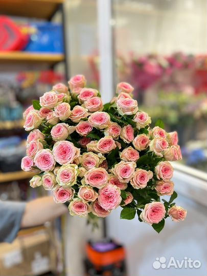 Кустовые розы