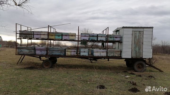 Прицеп для перевозки пчел