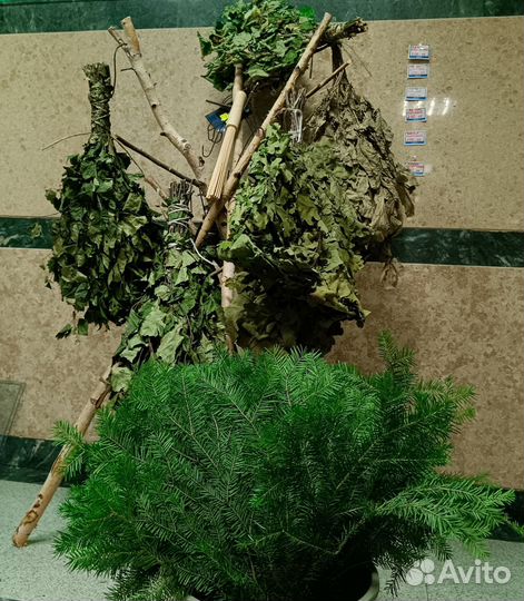 Веники для бани
