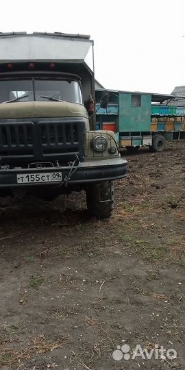 Пчелы улья пасеку