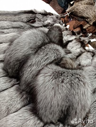 Шкурки лисы серебристо-черной