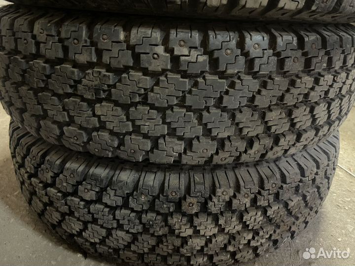 Nokian hakkapeliitta