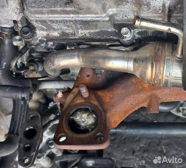 Двигатель 1CD Toyota Avensis 2 2.0л дизель