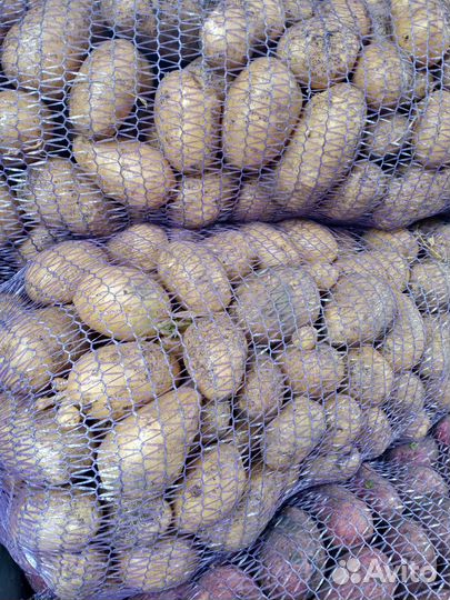 Продам картофель