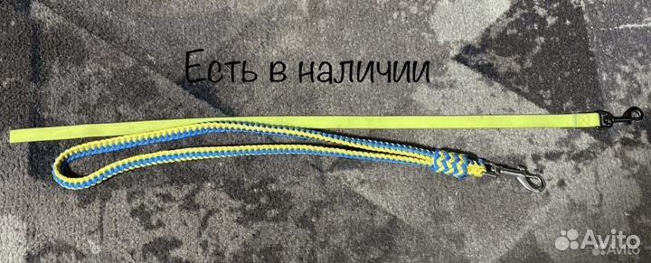Амуниция для собак