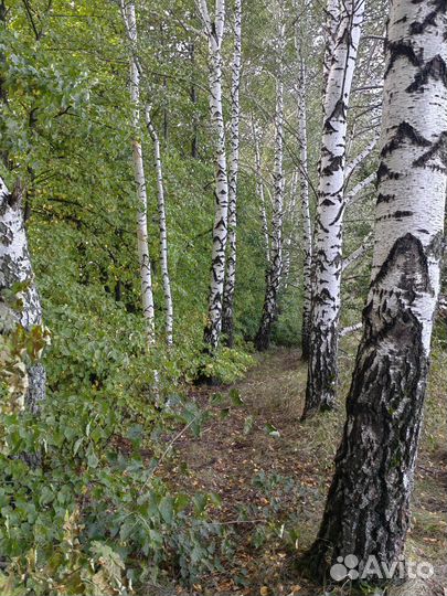 Детские книги бесплатно