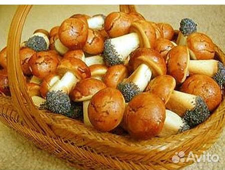 Форма для выпечки цельного печенья 