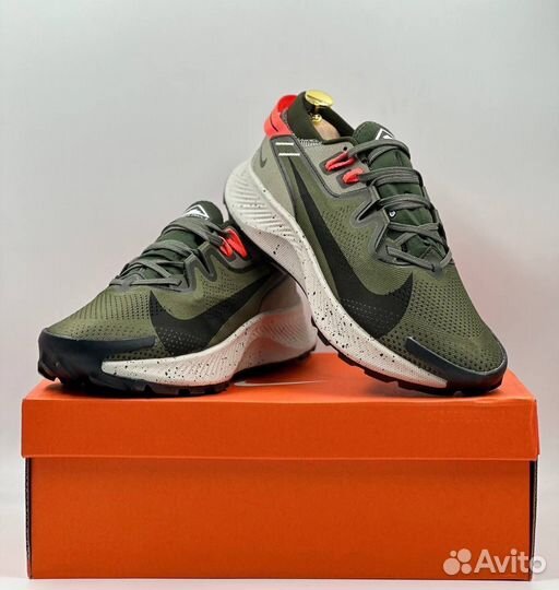 Кроссовки Nike Pegasus (42)