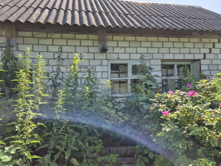 Дача 12 м² на участке 5 сот.