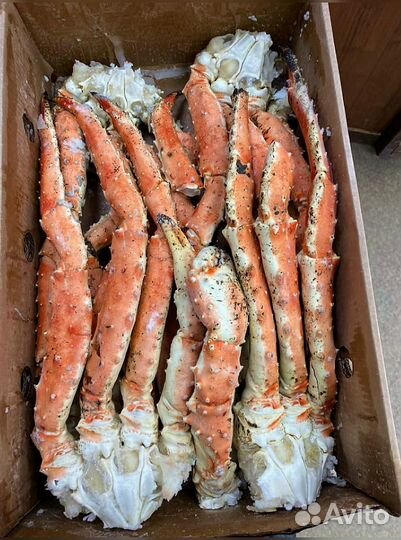 Конечности краба стригуна