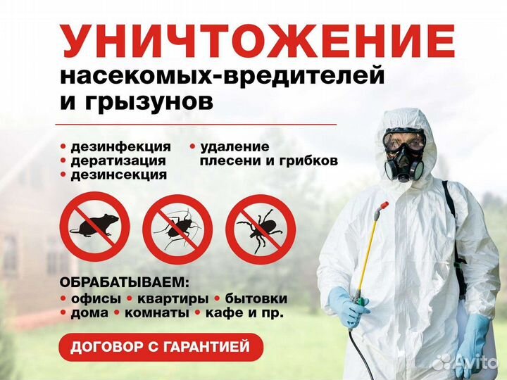 Дезинсекция от тараканов, клопов, блох