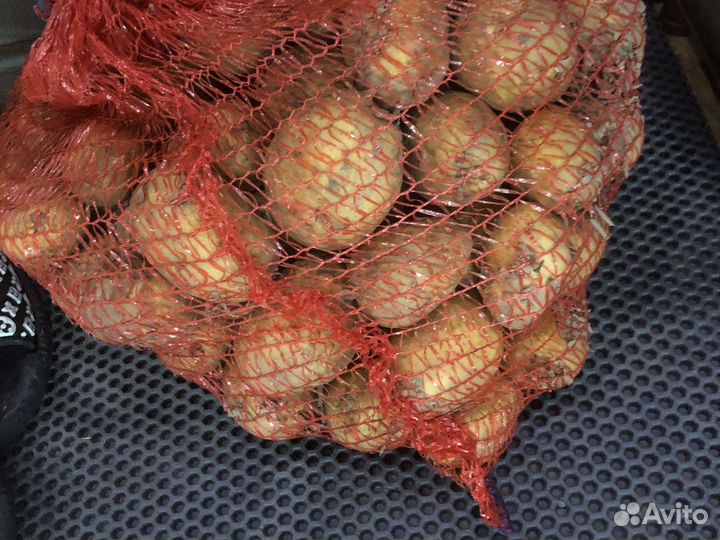 Картофель свежий урожай