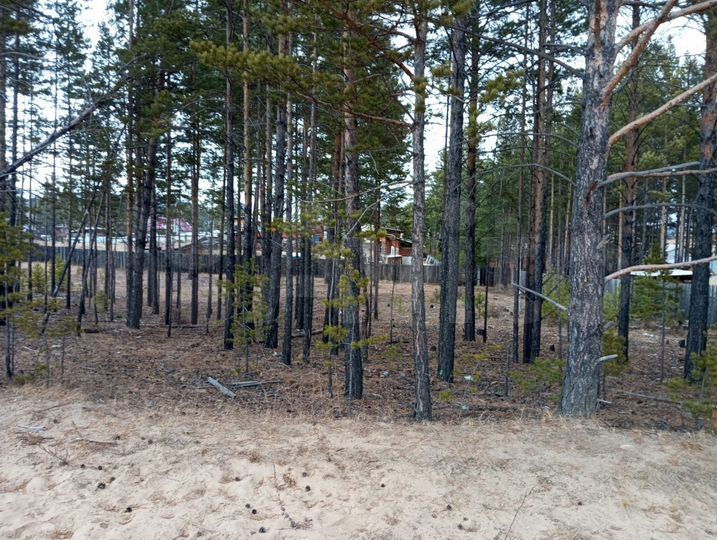 Участок 14,5 сот. (ИЖС)