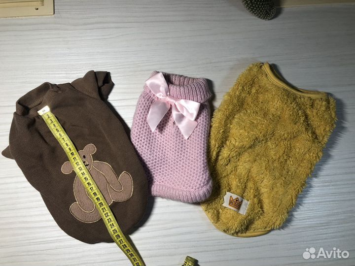 Одежда для собак мелких пород