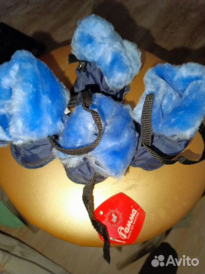 Одежда и обувь для собак кошек