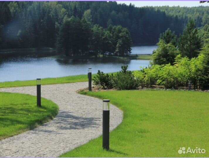 Рулонный газон доставка укладка