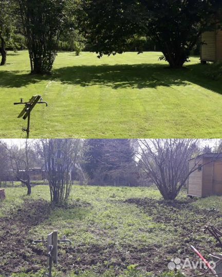 Газон под ключ, выравнивание участка