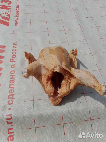 Тушка бройлера