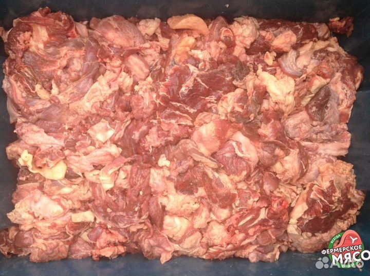Мясо для собак