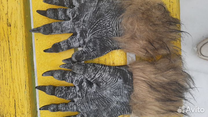 Перчатки (животного)